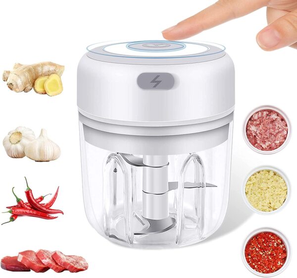 buy rechargeable garlic chopper in sri lanka