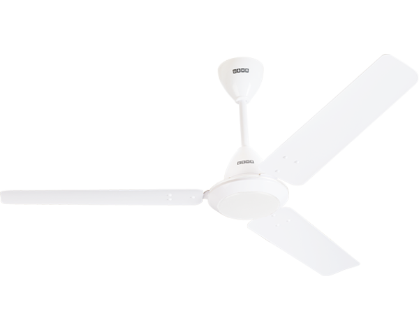 buy small 48 inch ceiling fan in sri lanka