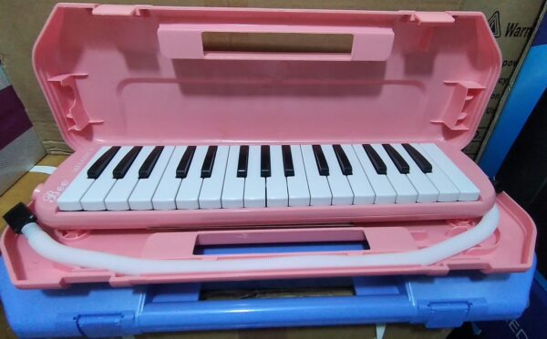 buy 32 key bee melodica piano with box in sri lanka